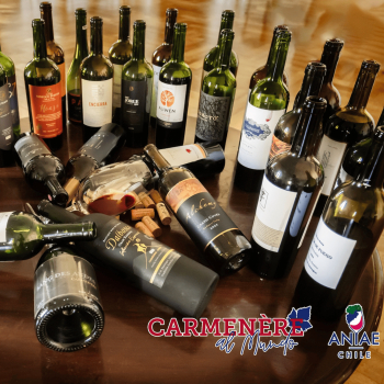 ANIAE CHILE: EL VALOR DEL CARMENÈRE EN EL MERCADO INTERNACIONAL