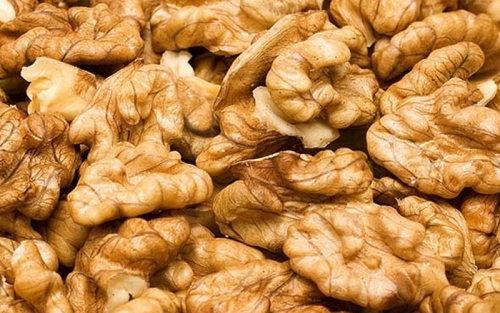 Nuez Mariposa Frutillar