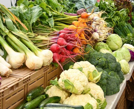 fruta por mayor