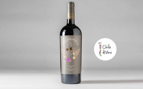 Vino Chileno 